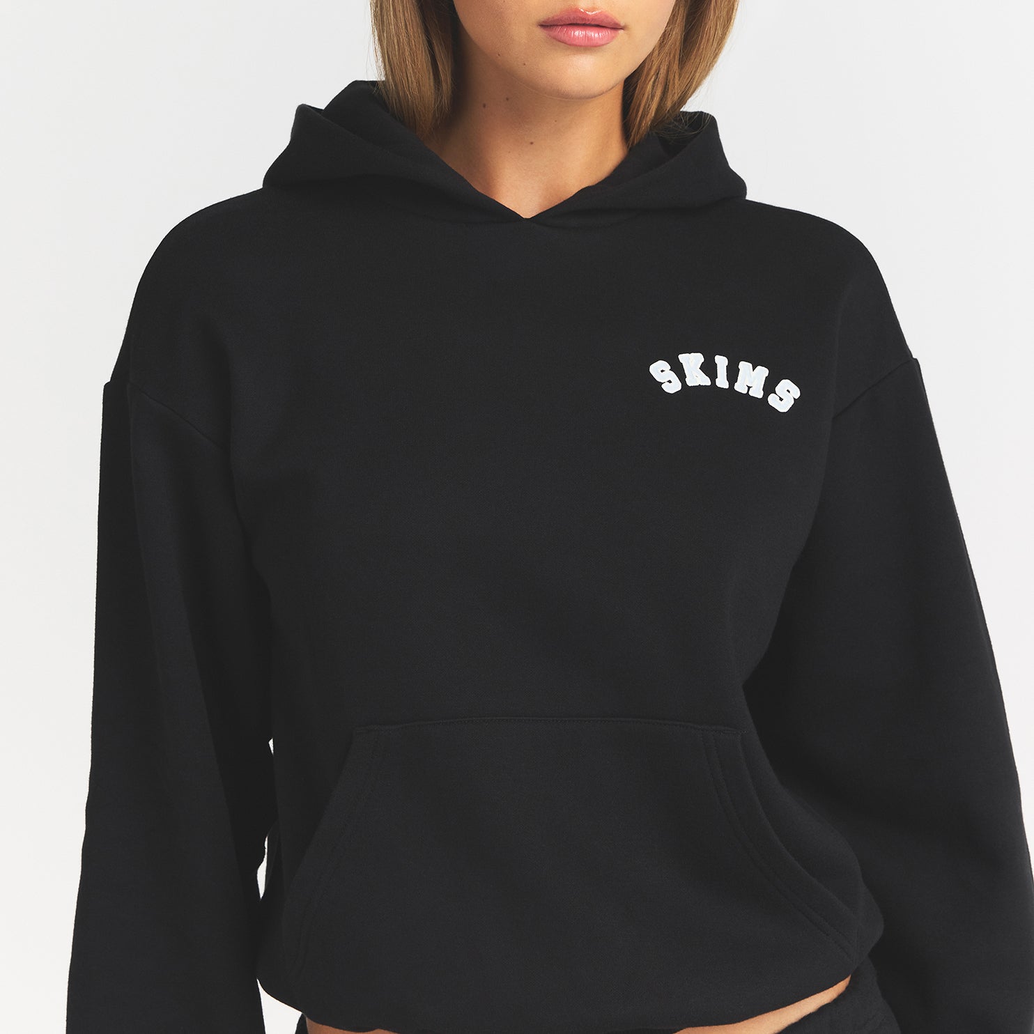 COTTON FLEECE LOGO CLASSIC HOODIE | SNOW ARCHED LOGO PATCH
